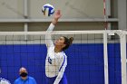 Volleyball vs Babson  Wheaton Women's Volleyball vs Babson College. - Photo by Keith Nordstrom : Wheaton, Volleyball, VB